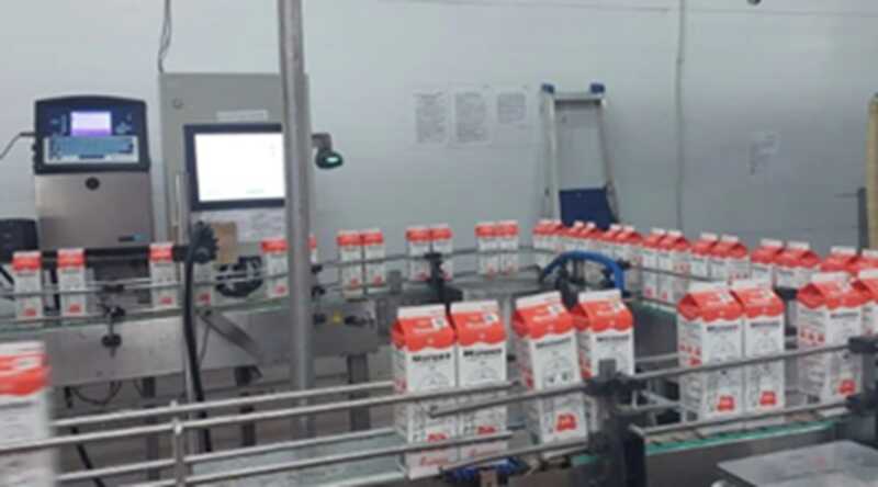 Карелия стабилизирует обеспечение ОМК молочной продукцией благодаря субсидиям для племенного хозяйства