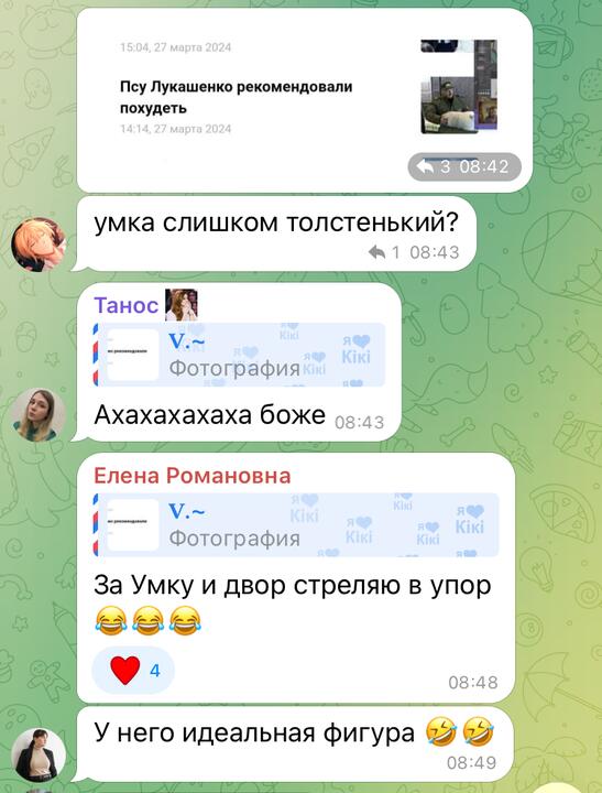 Обсуждение шпица Умки с чате, посвященном Николаю Лукашенко. Скриншот: 